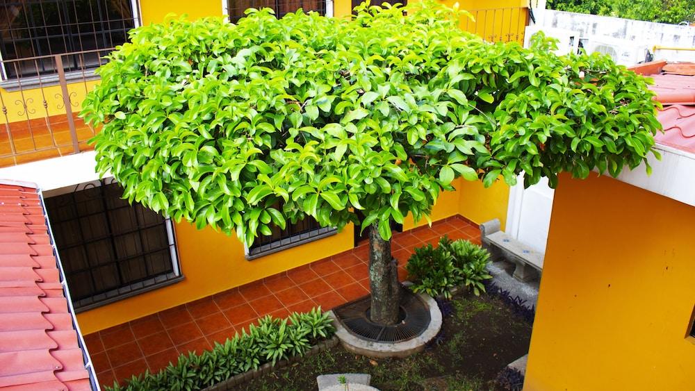 Hotel Villa Terra San Salvador Eksteriør billede